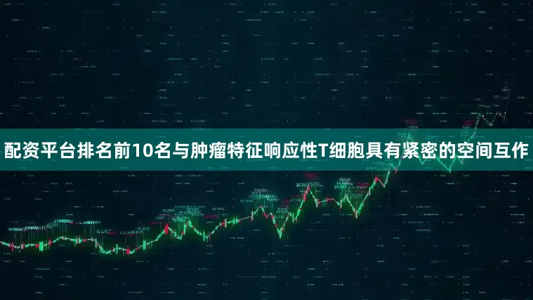 配资平台排名前10名与肿瘤特征响应性T细胞具有紧密的空间互作