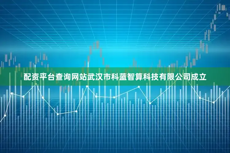 配资平台查询网站武汉市科蓝智算科技有限公司成立